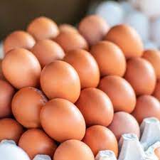 1 HUEVOS DE GALLINA  N°1